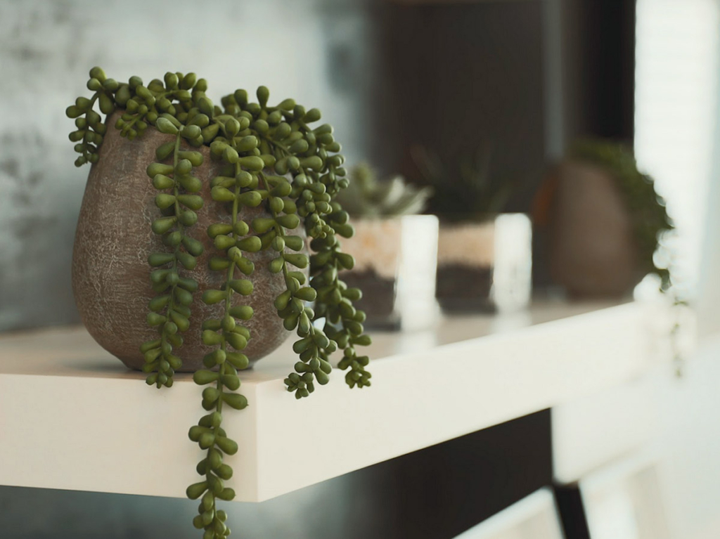 Close up of white floating shelves against a dark textured wall with layered greenery at Waterfall Country Estate.